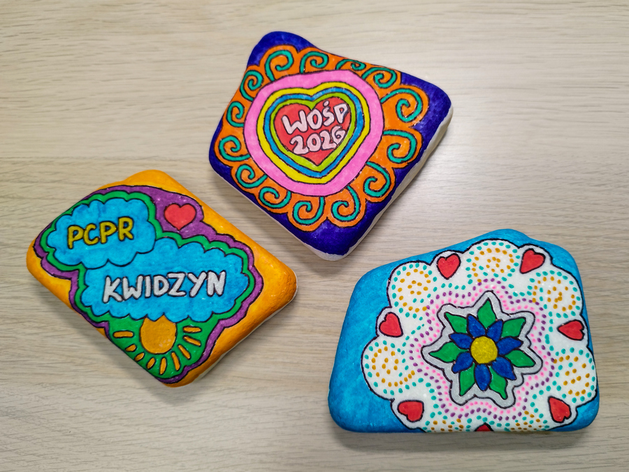 Obraz z pomalowanymi kolorowymi kamieniami z symbolami WOŚP i PCPR w Kwidzynie